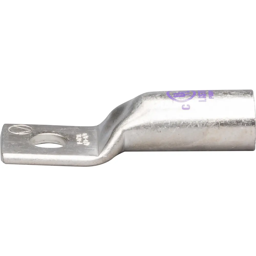 オバラソウ　お急ぎ1204040 tamcousa_1148477_l_lrg.webp