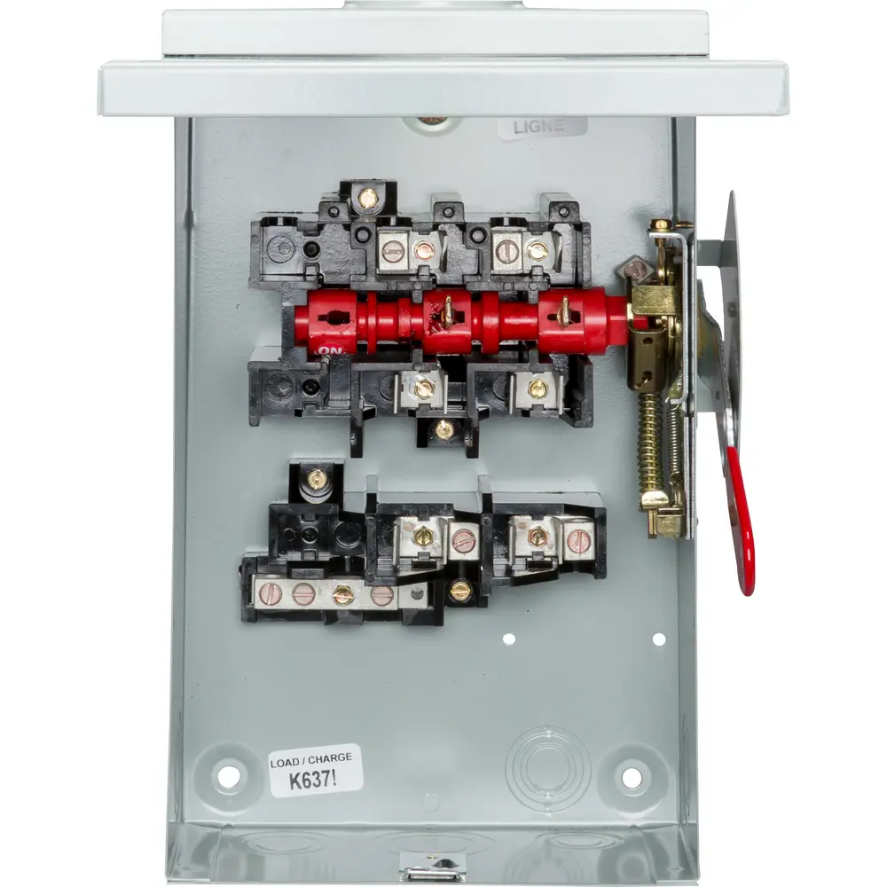 60A 240V 2-Pole Safety Switch, Fusible NEMA 3R General Duty