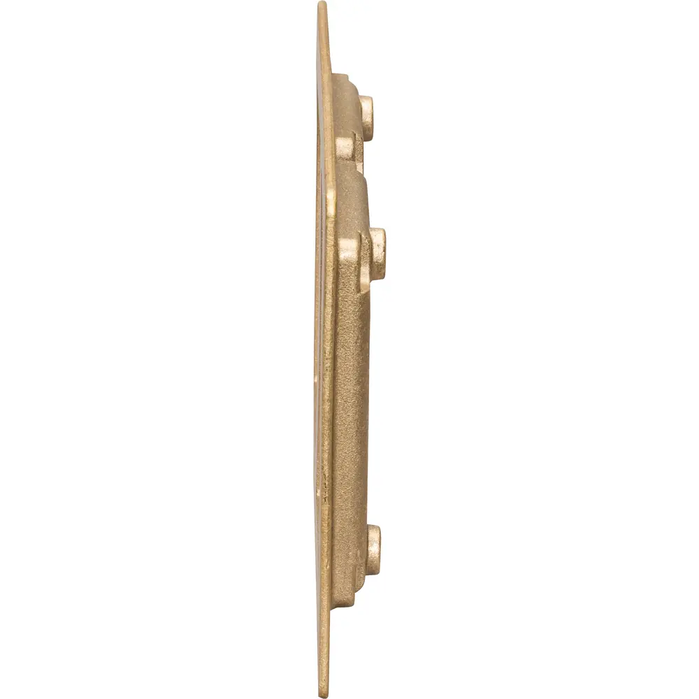 2-Gang Omnibox® Rectangular Carpet/Tile Flange, Brass
