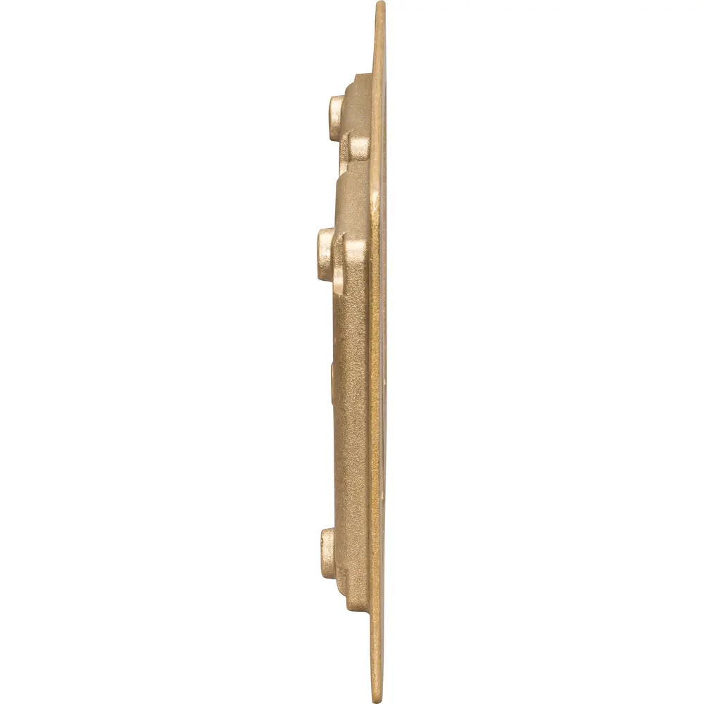 2-Gang Omnibox® Rectangular Carpet/Tile Flange, Brass