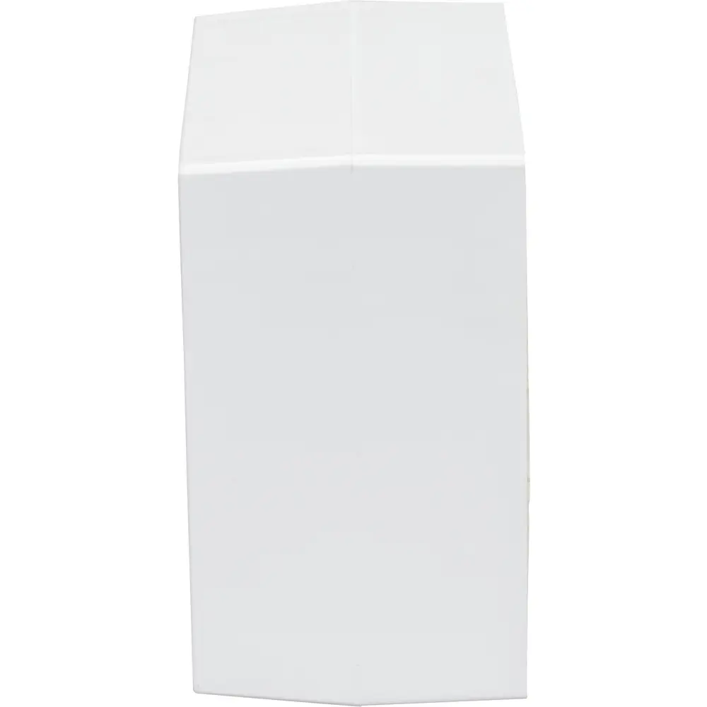 Device Box Fitting, 2-Gang Extra Deep, PVC, White, 400/800/2300/2300D