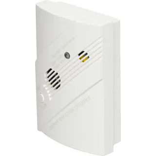 Carbon Monoxide Detector