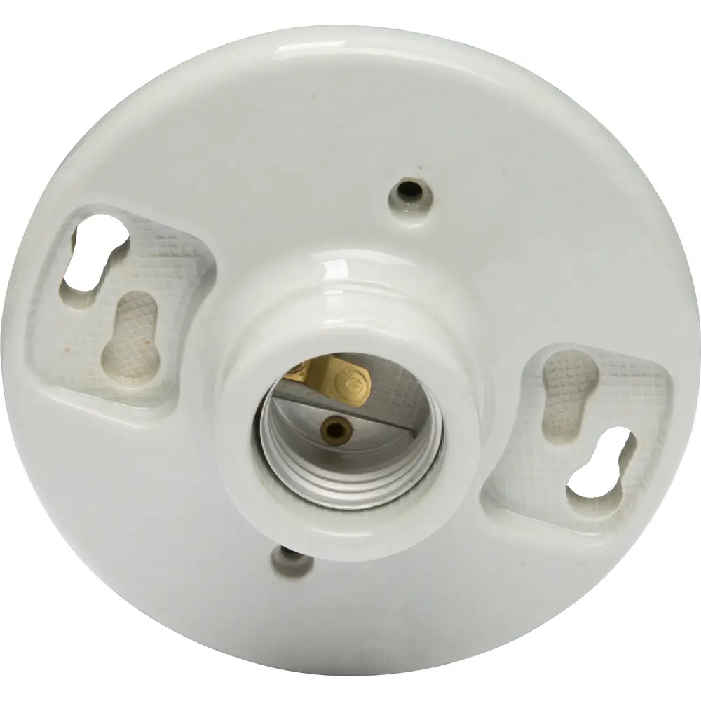 250 VAC Porcelain 2-Terminal Medium Base Lampholder w/ 6 in. Leads