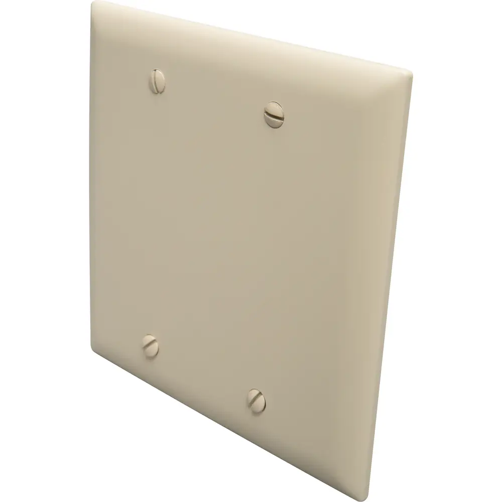 Leviton 80505-I 2-Gang Combination Toggle Switch & Duplex Outlet